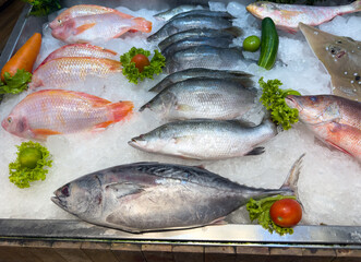 A fish display with a variety of fish and vegetables