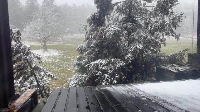 A cozy, horizontal cinematic shot taken from inside a warm room, looking out at a winter wonderland. Snow-laden tree branches frame the view, while melting snow drips rhythmically from the eaves. This