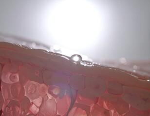 Close-up of fruit section with water droplets, lit from above