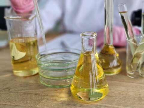 Scientist conducts experiments with liquids in beakers and flasks on a wooden table