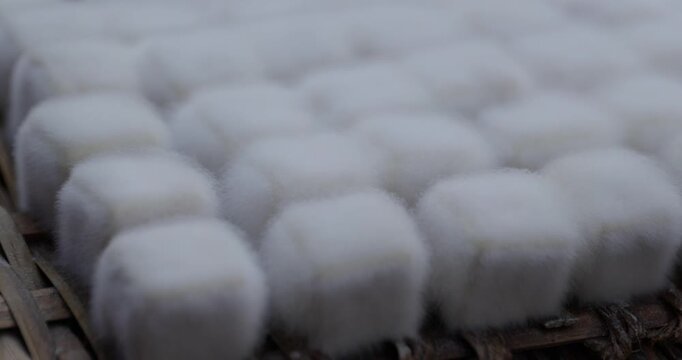 Mold tofu or commonly called hairy tofu sold on the street in China.