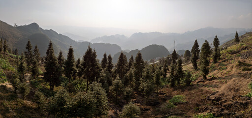 Panoramic hillside forest with layered mountains receding into haze.