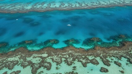Fototapeta premium Aerial View of Vibrant Coral Reefs and Turquoise Waters.