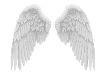 Pair of detailed white feathered appendages shown against a bright background