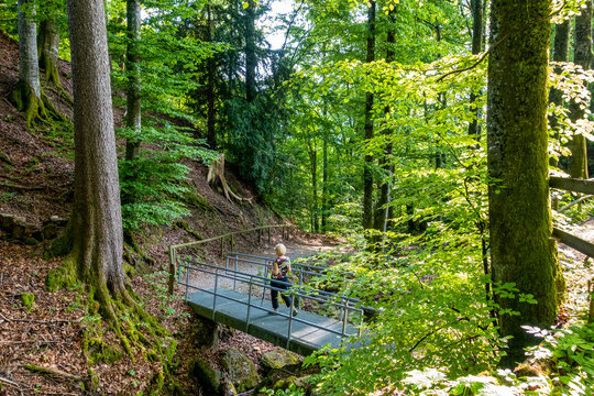 Senior walking on forest bridge outdoors in Gommiswald Switzerland