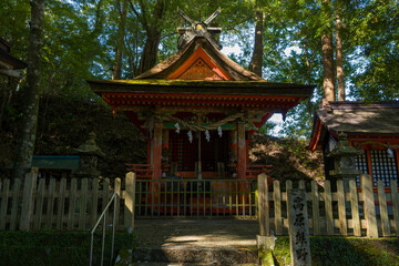 Fototapeta premium A vibrant wooden Shinto shrine with ornate details stands shaded beneath tall trees along the Kumano Kodo in Takahara, Japan. Dappled sunlight filters through the lush forest, creating a tranquil and