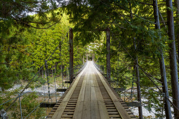 Obraz premium A rustic wooden suspension bridge stretches across a river, framed by dense green cedar trees in the Koya San region. The tranquil natural setting is illuminated by soft daylight filtering through the