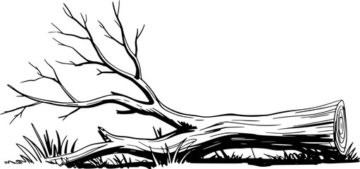 Black and white of a fallen tree trunk with bare branches lying grass wood © Ripa_Moni