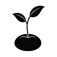 Sprouting Seed Growth Icon