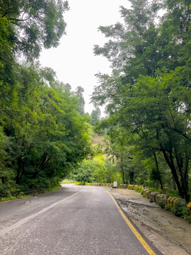 Scenic Green Forest Road in Abbottabad Pakistan &ndash; Lush Trees, Curved Mountain Road, Peaceful Nature Landscape, Summer Travel Destination, Natural Beauty of KPK Highway