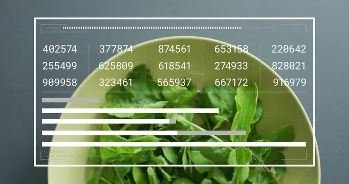 HUD frame appearing over pale bowl, numeric grid updating, bars extending, visualizing salad data