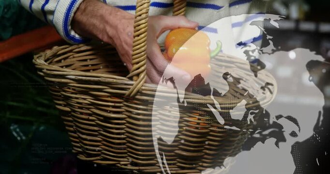Male market shopper picking orange pepper, putting in basket, balancing as globe overlay appearing