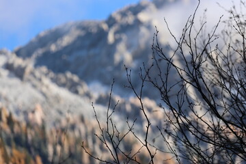 Obraz premium Morning view of artistic tree branches with background of snow-capped mountains and dramatic clouds at Jiuzhai Valley National Park in autumn, China