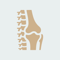 vector illustration of a human body spine