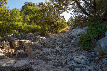 A rough, rocky hiking trail climbs between weathered limestone outcrops and dense green trees in the Mediterranean landscape near Baunei, Sardinia. Warm sunlight highlights the textured stones and © Florent