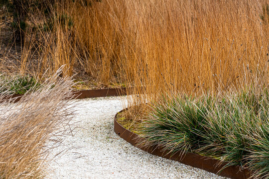 Curved gravel path through urban garden with grass landscape design showing sustainability nature and calm modern planting detail