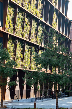 Modern office building architecture with vertical greenery facade and trees in urban setting showing sustainability and contemporary exterior design