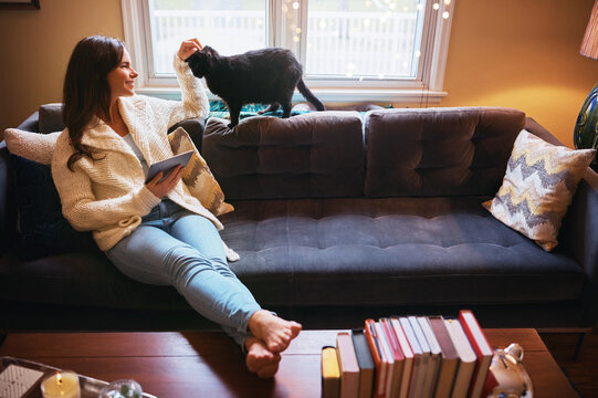 Calm, tablet and cat with woman on sofa on home for feline behavior research, social media and bonding. Animal care app, relax and online subscription with person and pet in living room of apartment