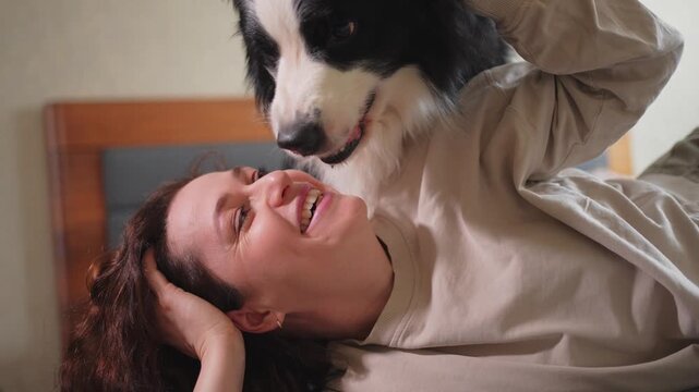 Smiling woman playing with cute puppy dog border collie on bed at home indoor. Owner girl stroking holding dog friend sitting on sofa in living room. Love for pets friendship support team concept