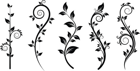 Set of black floral vine silhouettes with leaves and curly swirls isolated on white background for decorative nature vector design © MdAnowarHossain