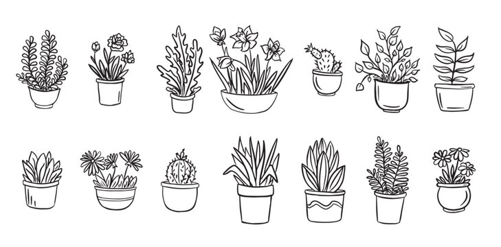 house plants and flowers in pots for the interior vector 