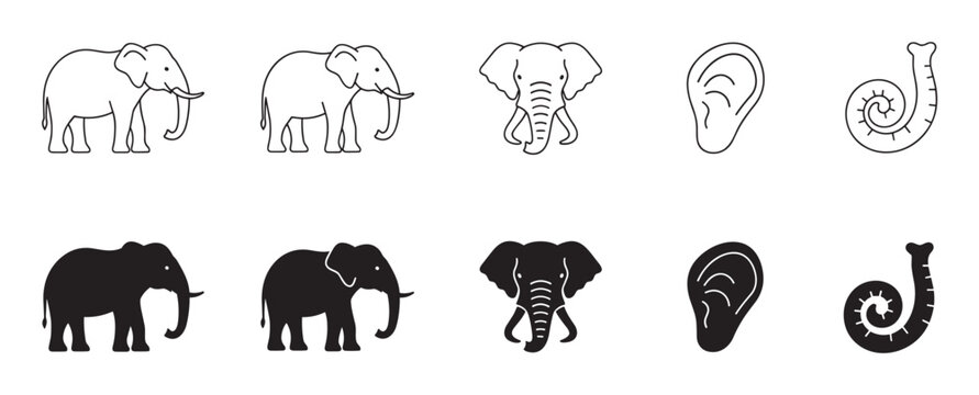 Minimalist black elephant icon collection featuring line art and solid silhouette styles with full body profiles, front view heads, and separate ear and trunk symbols