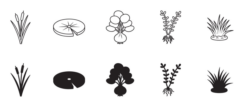 Set of black aquatic plant icons showing cattails, lily pads, and marsh vegetation in both minimalist line art and solid silhouette styles for graphic design elements