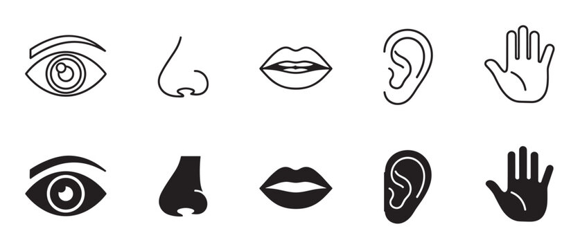 Five senses icon set with line and solid glyph styles representing sight, smell, taste, hearing, and touch for perception and sensory concepts in a minimalist black design