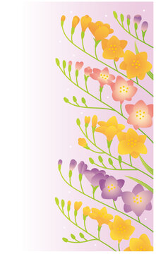 フリージアの背景用デザインフレーム（カラフル）