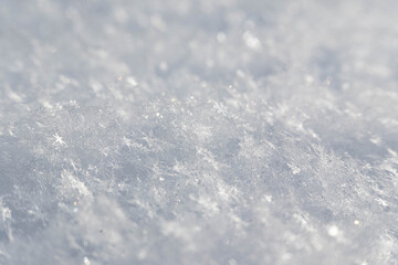 Obraz premium Close-up of Sparkling Snowflakes on a Winter Day