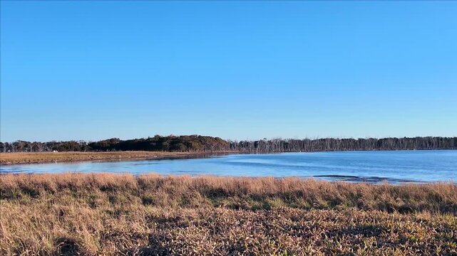 枯れたミズナラが並ぶ野付半島のナラワラ