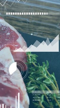 Vertical video: Timer starting HUD, steak holding left while herbs and tray moving to balance frame