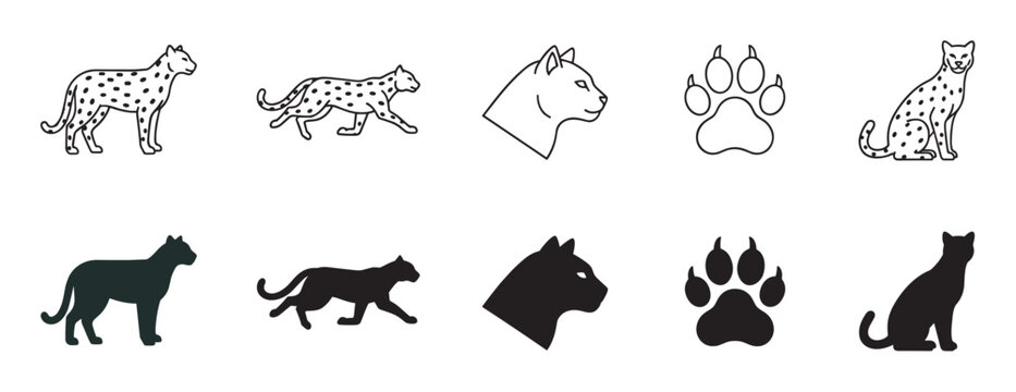 Set of big cat vector icons featuring leopard and panther illustrations in line art and solid silhouette styles, including walking, sitting, and head profile poses with a paw print