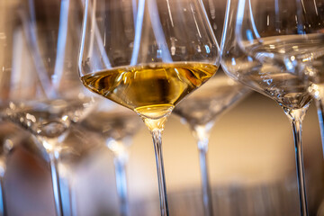 a glass of white wine under empty glasses