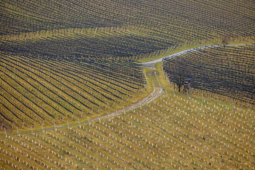 South Styrian Wine Route in winter, Austria