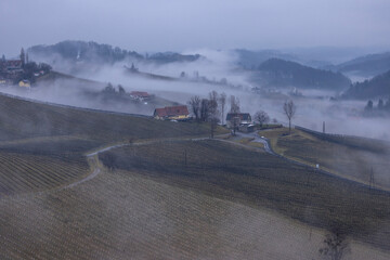 Ground fog in the southern Styrian wine country in winter