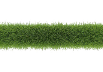 A strip of green grass on a transparent background for nature and landscape design