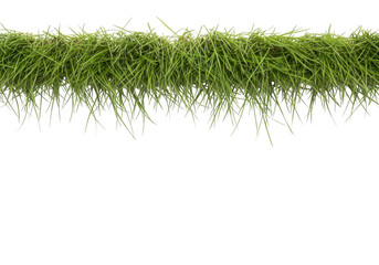 A green grass border on a transparent background isolated on transparent background