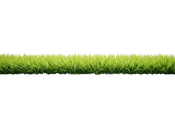 A strip of vibrant green grass isolated on transparent background for design