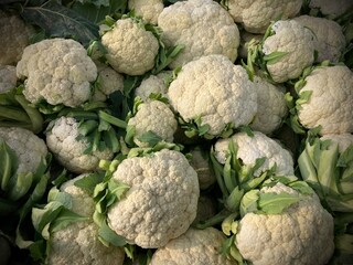 Fresh organic vegetables like cabbage, broccoli, and artichoke offer raw nutrition and garden freshness at a local farmers market