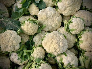 Fresh organic cauliflower and green cabbage at a local market represent healthy nutrition and raw natural ingredients for a vegetarian diet