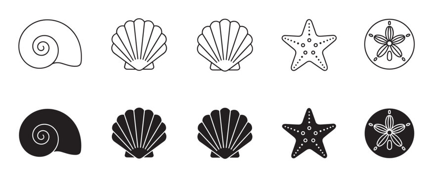 Set of black seashell icons in outline and solid glyph styles, featuring a spiral shell, scallop, starfish, and sand dollar for a clean, minimalist design element collection