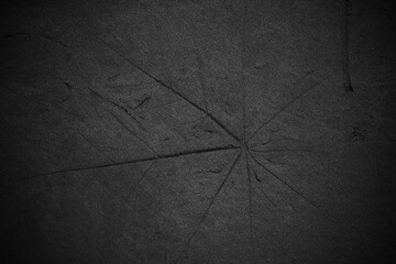 Dark grey black slate background or texture.