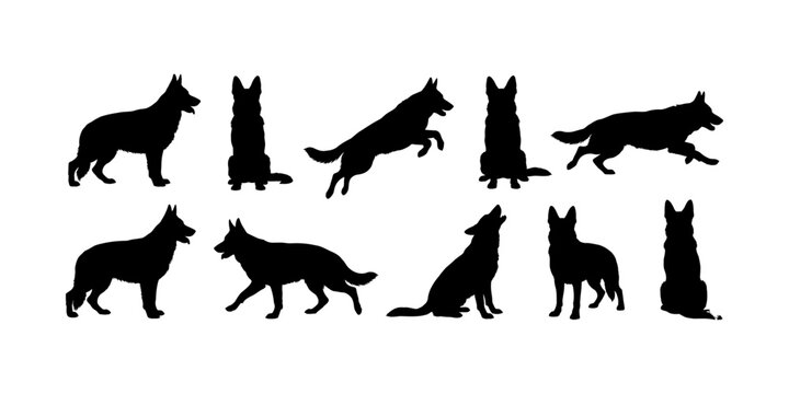 German Shepherd dog silhouette vector set. Alsatian head logo icon symbol collection. Black minimal style. Isolated on white background.