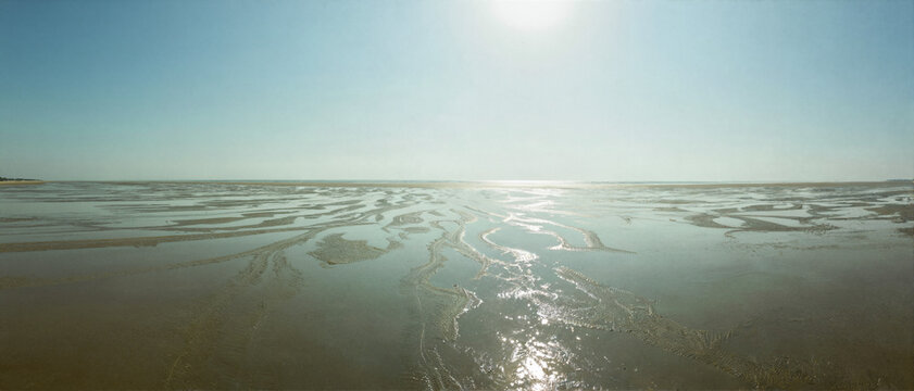 Sunlit Tidal Flat at Sunrise with Water Channels and Reflection, Minimal Seascape Panorama