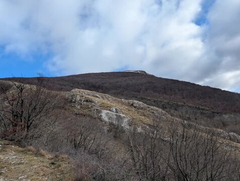 Paesaggio montano invernale, alberi senza foglie e rocce a vista sotto un cielo azzurro con nuvole bianche