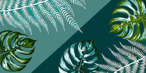 Tropical monstera and fern leaves on a split teal and white background © KrishnaPada