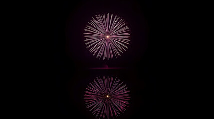 Fototapeta premium Single purple firework explosion in the black night sky with a perfect reflection on the water. Beautiful holiday celebration background with copy space. 