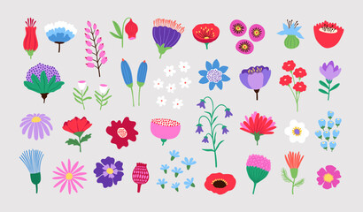 Hand drawn colorful nature set of abstract spring flowers. Floral collection with different types of decorative plants. Botanical design illustration for holiday decorations, card, invitation, clipart