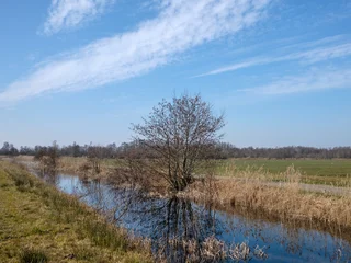 Fototapete Rund Schlafzimmer Nature reserve Weeribben-De Wieden, Overijssel province, The Netherlands  © HollandPhotostock.nl